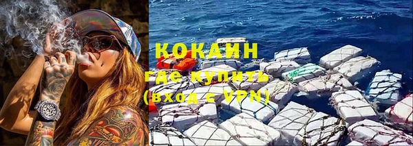 эйфоретик Арсеньев