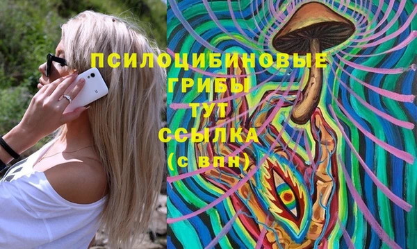 эйфоретик Арсеньев
