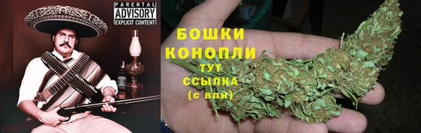 прущий лед Армянск