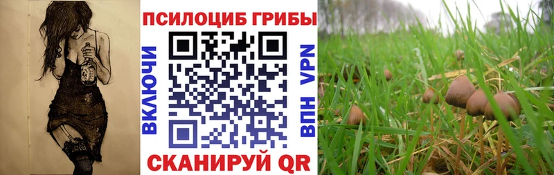 закладка Армянск Галлюциногенные грибы MAGIC MUSHROOMS