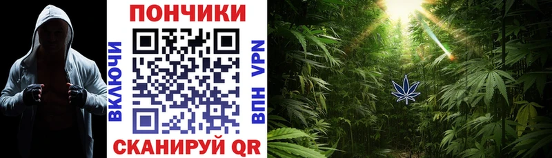 Бошки Шишки White Widow  купить   Армянск 